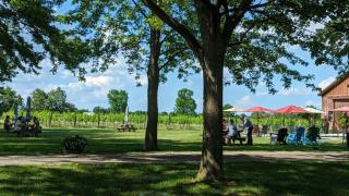 Vivace Vineyard Guest House - 2