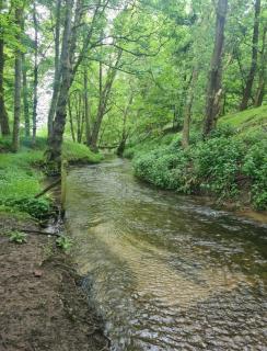 Entire Grade 2 listed cottage in Thornton-Le-Dale - 4