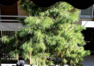 OneStep mini apartment next to Kallimarmaro Stadium - 4