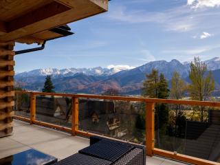 Osada Gubałówka na Polanie Pająkówka View Jacuzzi & Sauna - 8