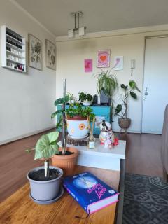 Habitacion del Sol - 4