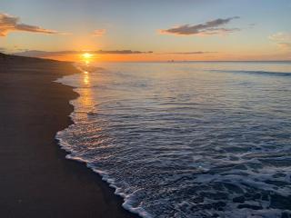 Private Coastal Sanctuary - 50m from Stunning Beach! - 2