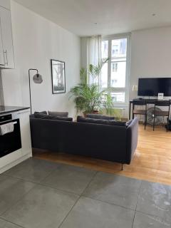 Luxury Apartment in Central Geneva - 6