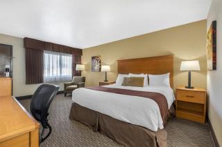 Best Western Winchester Hotel - 7