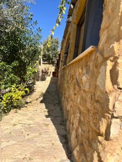 Dana horizon hotel - 9