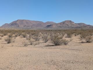 Cozy Peaceful Tiny Cabins Behind Big Bend National Park - 8
