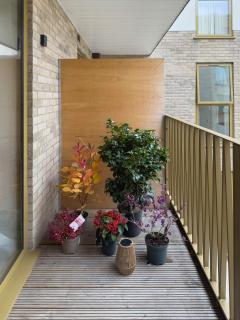 New 2bd Willesden Oxford St, Wembley, Jubilee line - 5