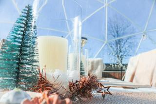 House of Happiness by apartmentglück - 9