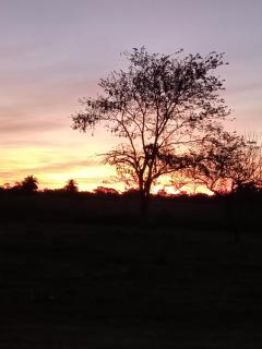 Cabañas La FLorencia - 9