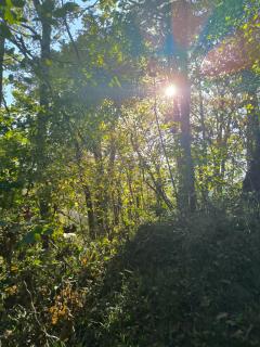 Casa las granxias - 4