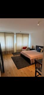 Cozy studio in Eaux-Vives - 2