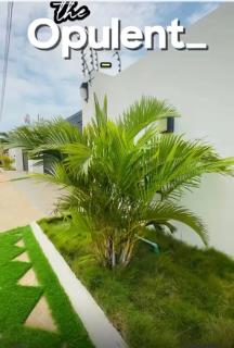 The Opulent Retreat - 0