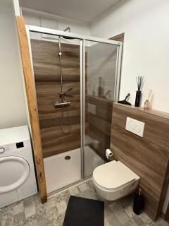 Chalet Pallegg - 5