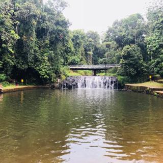 Malanda Falls Retreat - 2