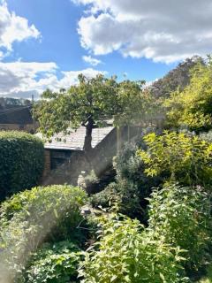 Fairytale Cottage in the Country - 2