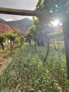 Muxsa - Casa con vista a los Colorados - 9