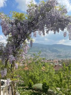 Sarajevo View 180 - 5