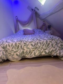 L Atypique Studio Bourges - Bourges - 5