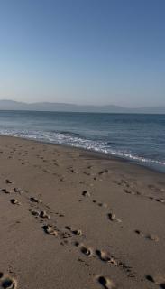 Two Bedroom Apartment - 4