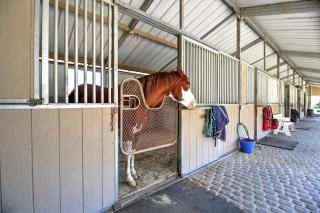 Wine Country Ranch Escape - 5