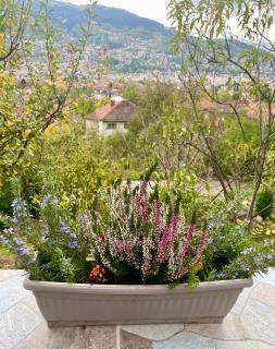 Sarajevo View 180 - 8