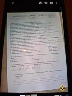 Apartmani Antonella - Premantura - 4