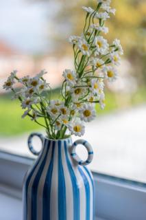 Cosy Clay Home - Birmingham - 2