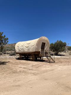 Grand Canyon Covered Wagon for Family-Friendly Glamping in Meadview, Arizona - 0