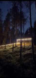 Ternu Forestvilla - 9