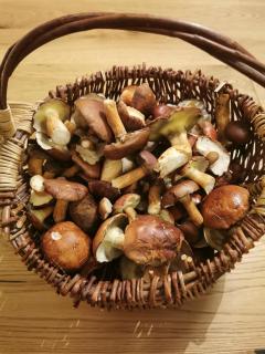 Oben im Selketal - 3