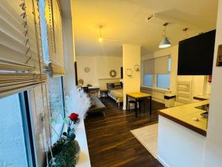 F1 Glasshouse Studio Flat - 9