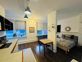 F1 Glasshouse Studio Flat - 3
