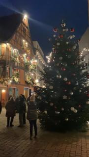 Le charme d'Alsace - 9