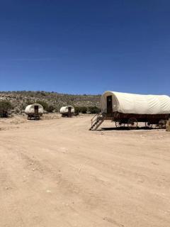 Grand Canyon Covered Wagon for Family-Friendly Glamping in Meadview, Arizona - 5