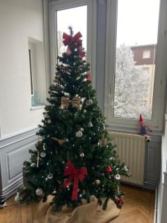 Le charme d'Alsace - 6