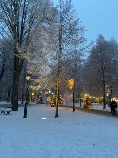 Le charme d'Alsace - 3