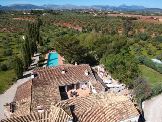 La Guzmana de Ronda - 7