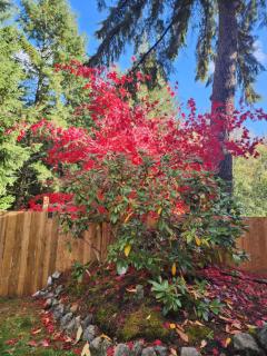 Modern 2BR SPA Retreat - 8