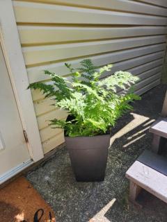 Modern 2BR SPA Retreat - 5