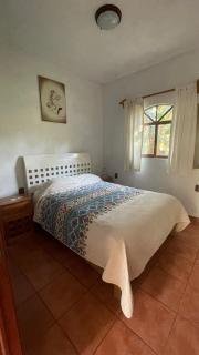 Hospedaje Los Pavo Reales - 9