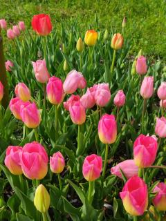 古民家宿郷の家 - 8