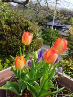 古民家宿郷の家 - 7