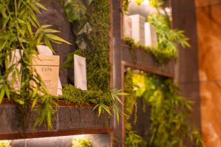 Spa Cottage - Hot Tub, Cold Pod & Sauna - 9