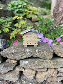 Fairytale Cottage in the Country - 8