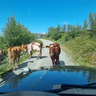 Rent your own Boutiqe hotel - 2