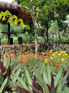 Sunshine Resort Sigiriya - 2