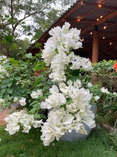 Sunshine Resort Sigiriya - 3