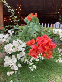 Sunshine Resort Sigiriya - 2