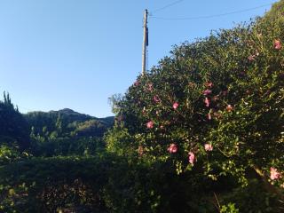 古民家宿郷の家 - 5