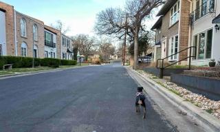 Ensuite Private Room - 6